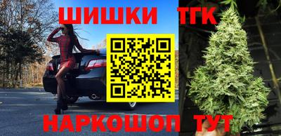 Альфа ПВП Будённовск