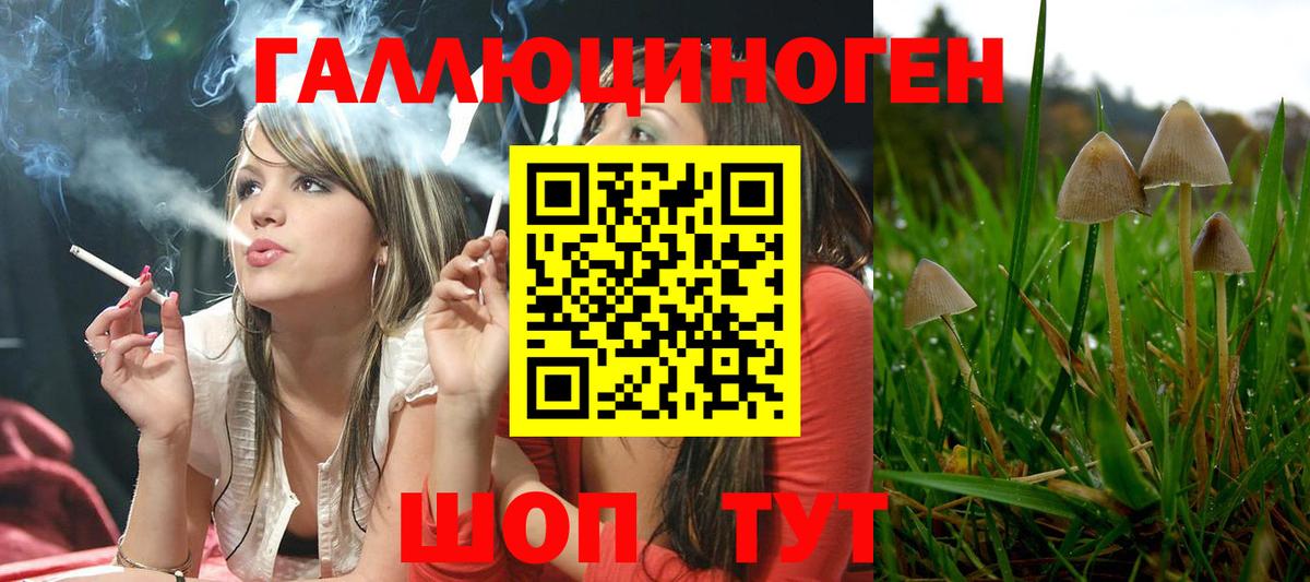 Галлюциногенные грибы MAGIC MUSHROOMS  как найти закладки  Майский  Вход с VPN 